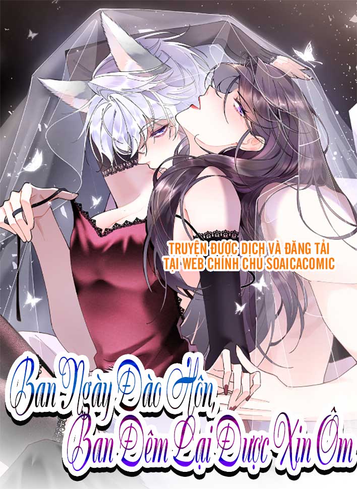 soaica-cover-12